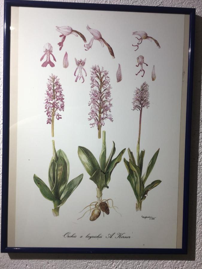 Feldolling Valerie'S Guesthouse מראה חיצוני תמונה